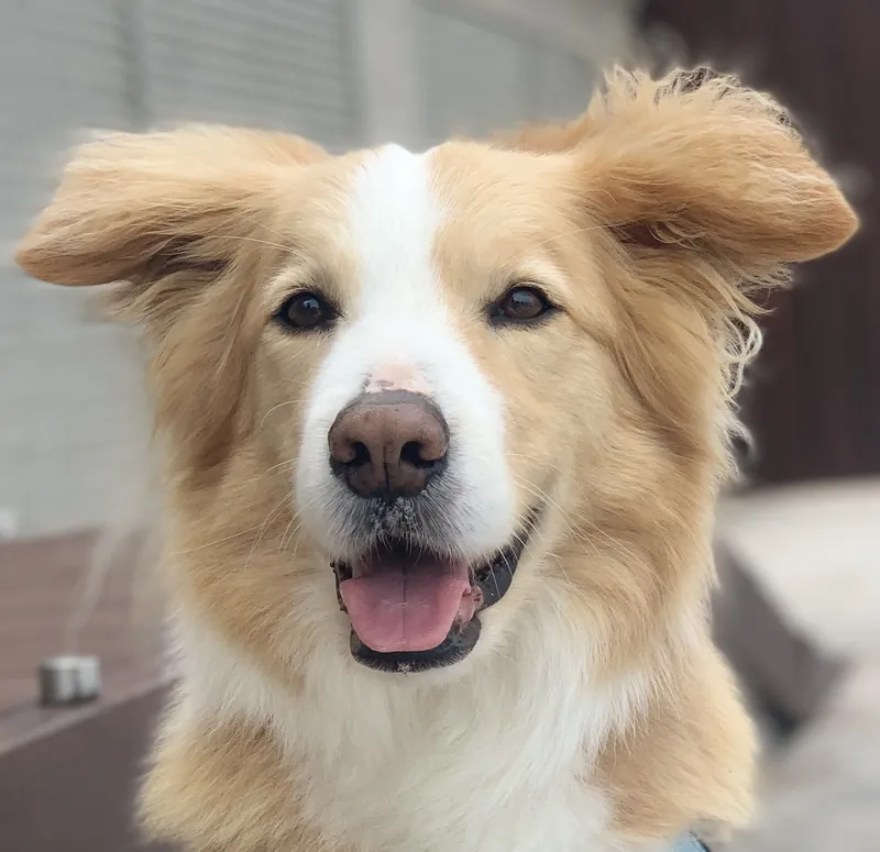 Original photo before sketch conversion