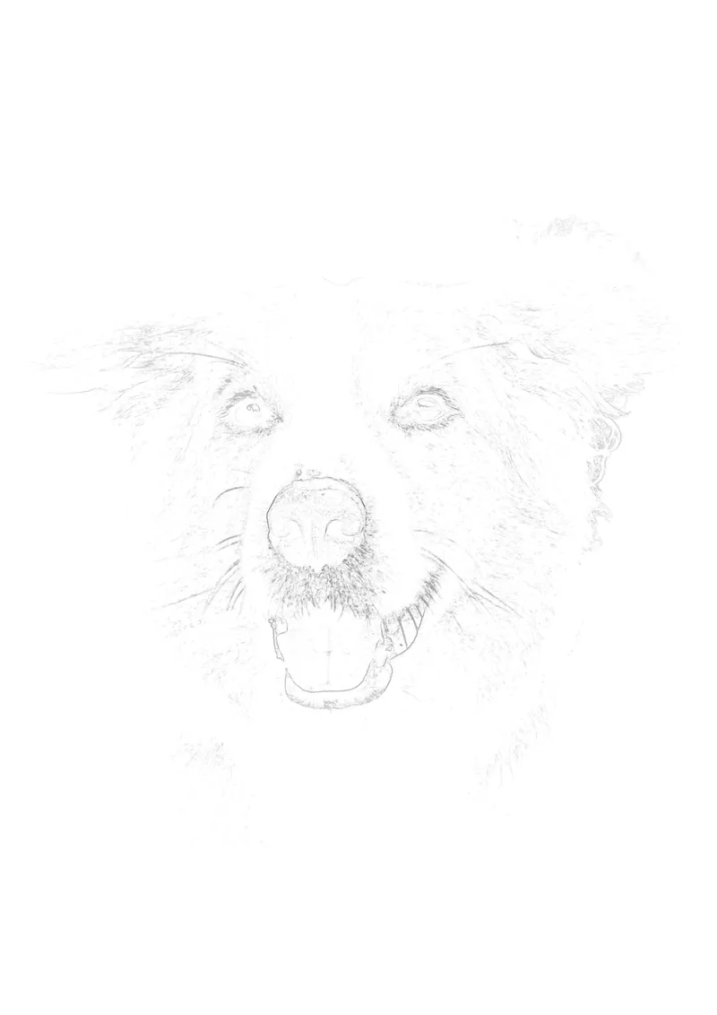 Original reference photograph used as the reference before outline conversion