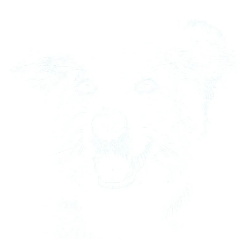 Light blue dog outline for a watercolor study